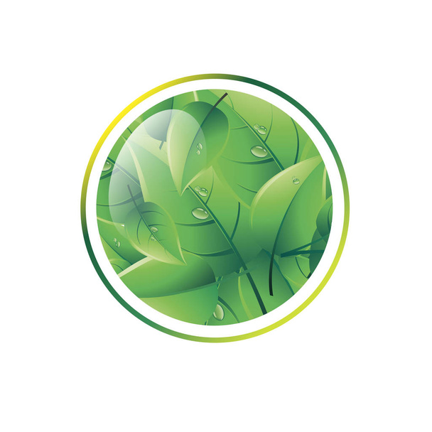 zelená vektorové pozadí čisté přírody eco - Vektor, obrázek
