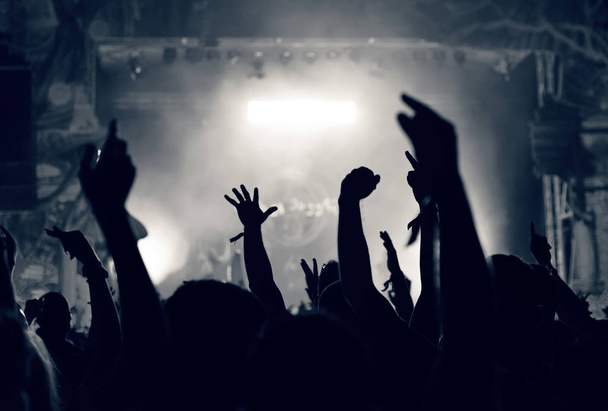 Πλήθος σε μια μουσική συναυλία, υψώνοντας τα χέρια, το κοινό τονισμένα - Φωτογραφία, εικόνα