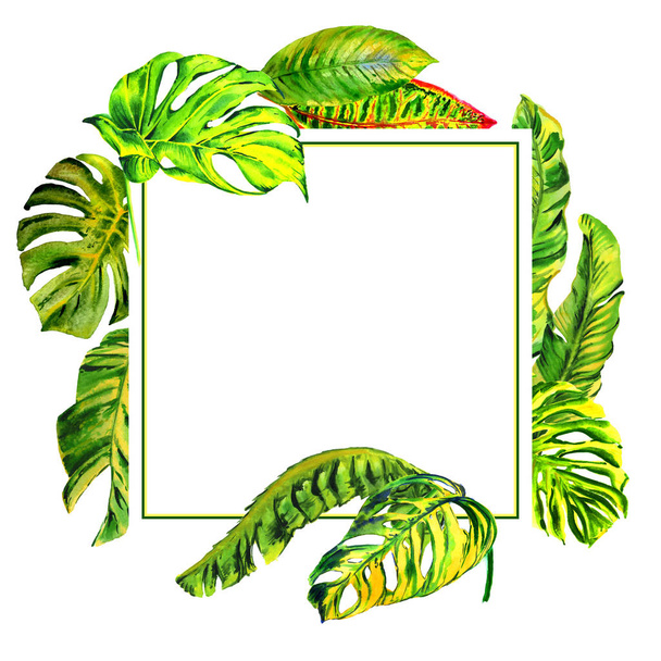 Tropical Hawaii leaves palm tree frame in a watercolor style isolated. - Photo, image