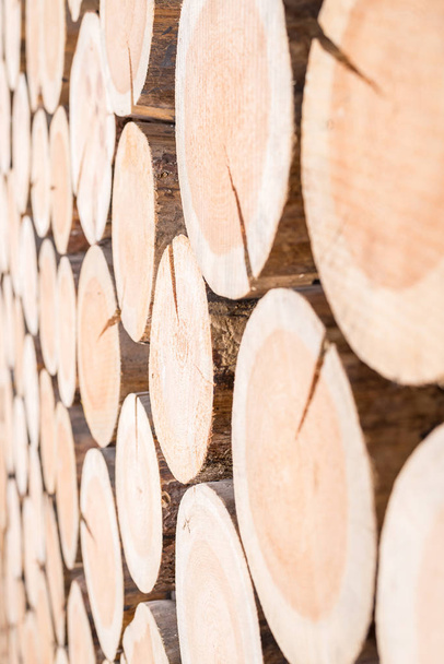 Fondo verticale di tronchi di legno di diverse dimensioni
 - Foto, immagini