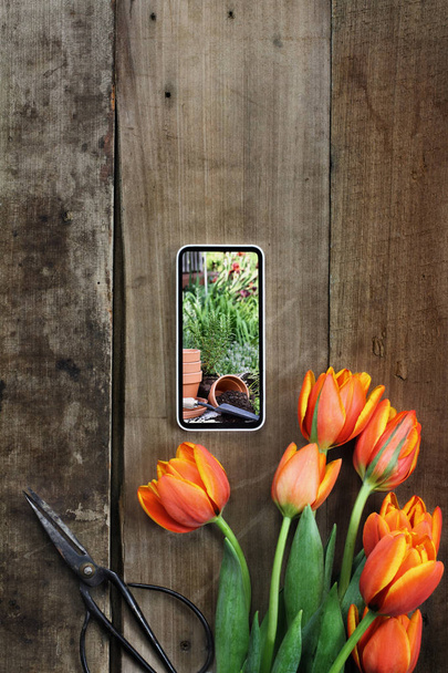 Gardening Photo and Tulips - Fotografie, Obrázek