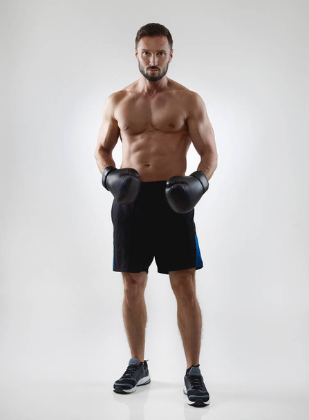 Boxer auf grau - Foto, Bild