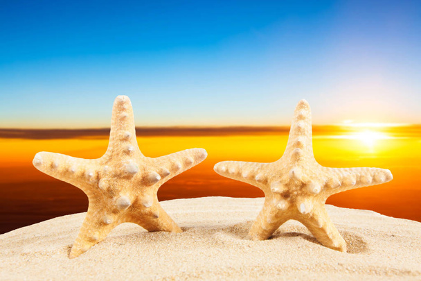 Summer vacation concept. Summer Holidays in Beach Seashore. Summ - Valokuva, kuva
