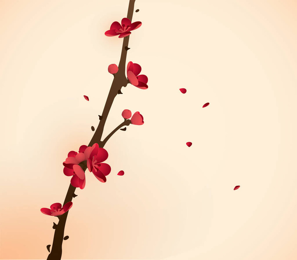 blossoming plum branch - Vector, Image