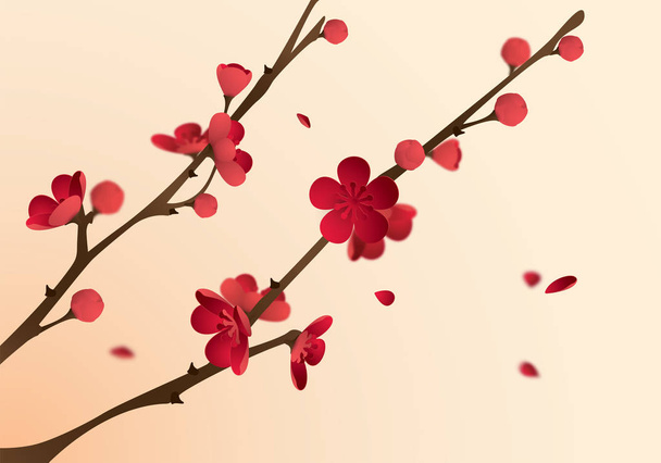 blossoming plum branch - Vettoriali, immagini