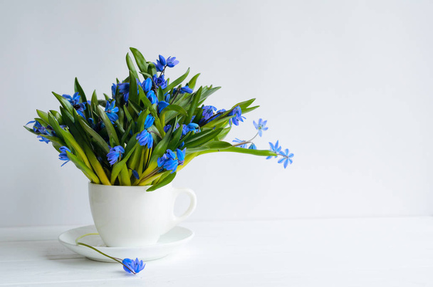Bunch of tender squill (scilla, galanthus) blue flowers in a tea cup with water on white background - Foto, Imagen
