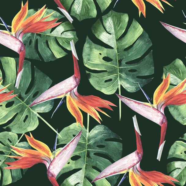 Trooppinen Havaiji lehdet palmu kuvio akvarelli tyyli eristetty
. - Valokuva, kuva