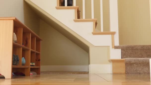 Мужчина, использующий лестницу в своем доме
 - Кадры, видео