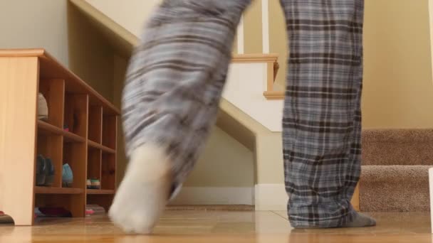 Um homem usando as escadas em sua casa
 - Filmagem, Vídeo