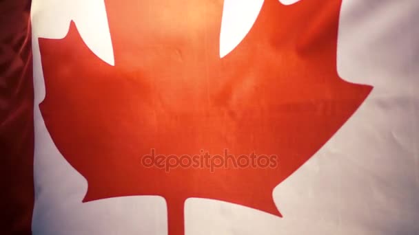 De nationale vlag van Canada is zwaaiend in de wind, langzame mo - Video