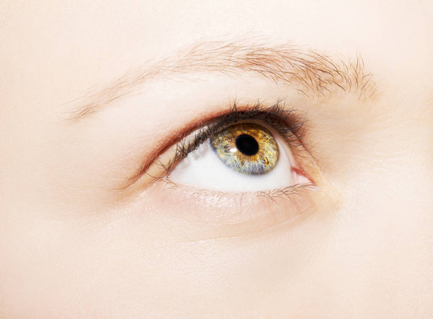 A beautiful insightful look woman's eye. Close up shot - Foto, Bild