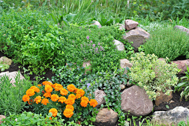 Jardim de rocha com pedras e flores
 - Foto, Imagem