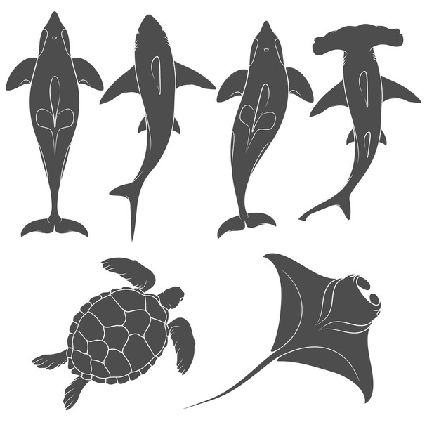 Set of images with marine animals - Vector, afbeelding