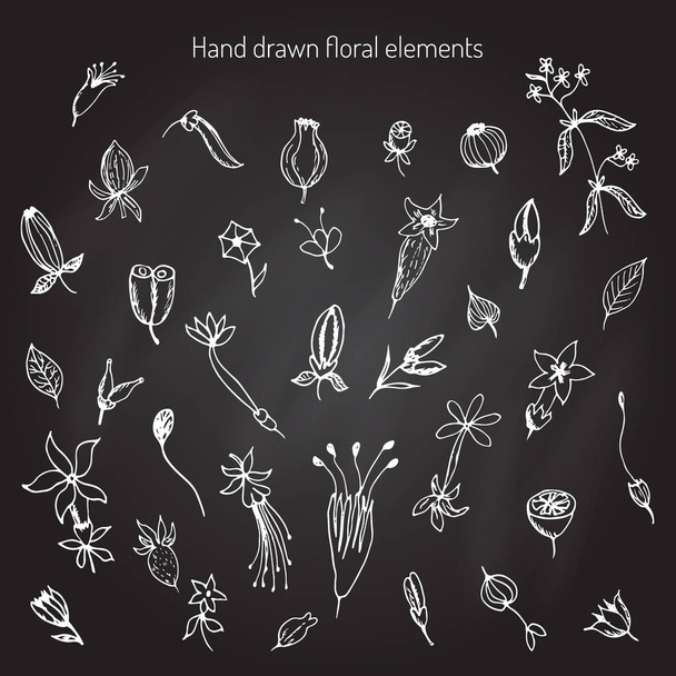 Hand Drawn vintage floral elements - Vecteur, image