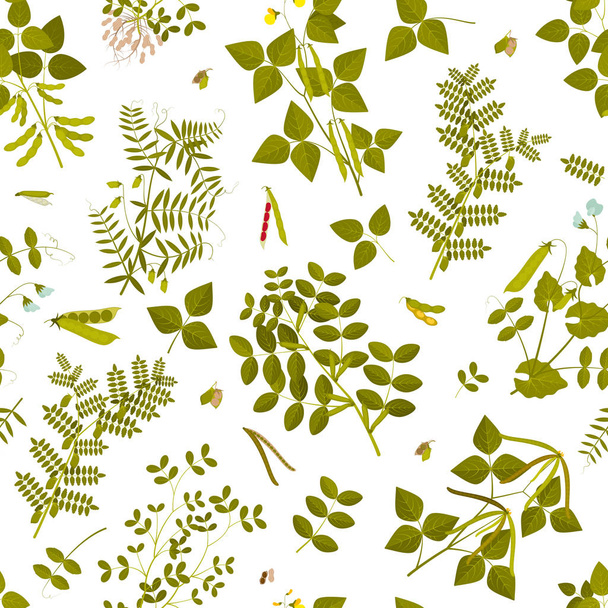 nahtloses Muster mit Hülsenfrüchten und ihren Blättern, Schoten und Blüten. Vektorillustration. - Vektor, Bild