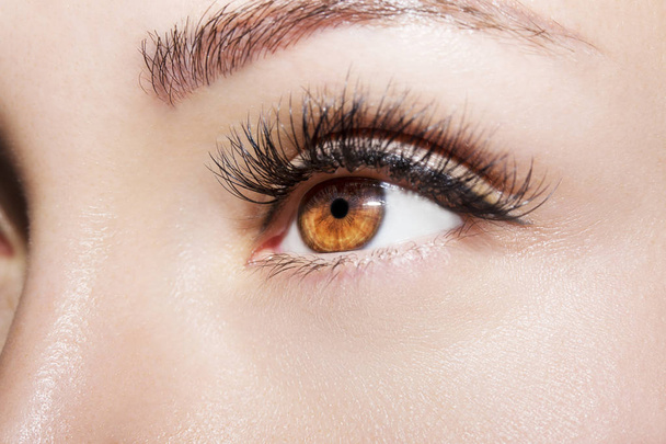 Brown Eye Makeup. Beautiful Eyes Make up detail, perfect beauty eyebrows - Foto, imagen