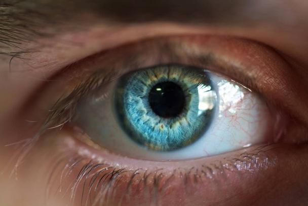 Hermoso ojo masculino primer plano
 - Foto, imagen