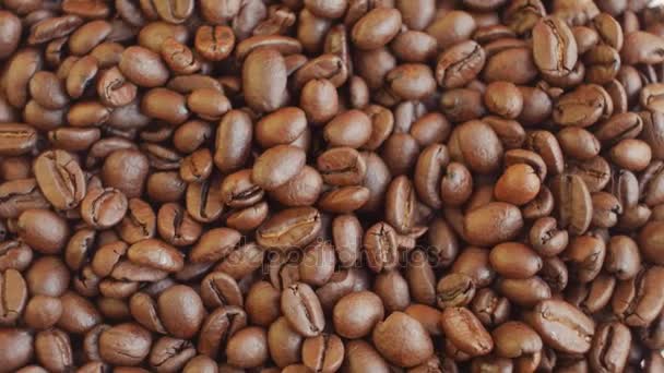 coffee beans on rotating stand closeup - Felvétel, videó