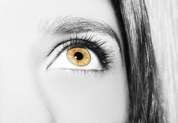 A beautiful insightful look woman's eye. Close up shot - Foto, imagen