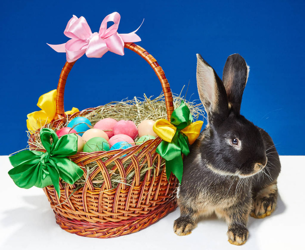 Perto da cesta com arcos e ovos coloridos o coelho senta-se
 - Foto, Imagem
