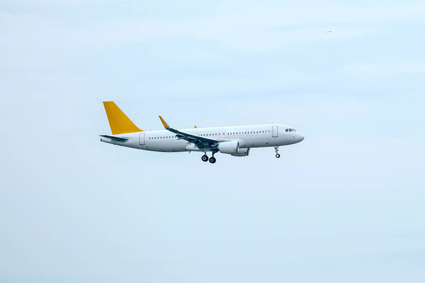 vliegtuig op de lucht - Foto, afbeelding