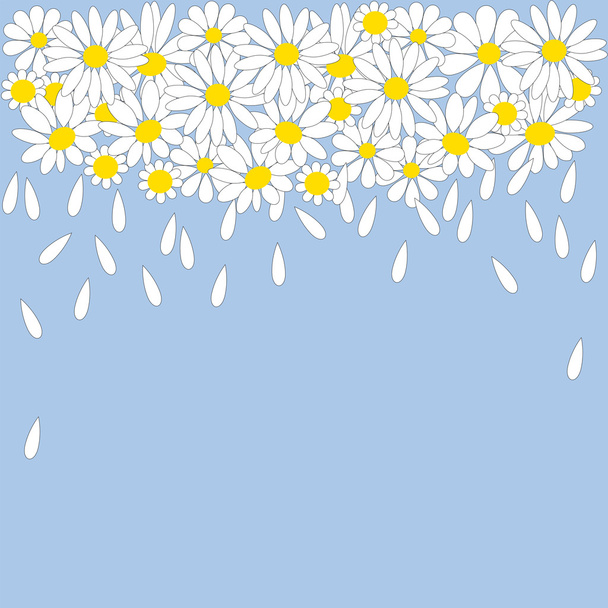 Lot of white daisies with petals - Vector, imagen