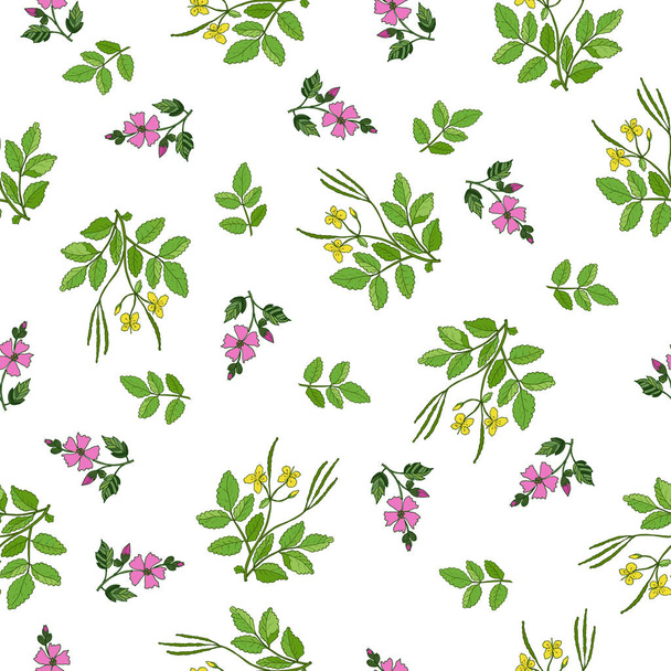 Seamless pattern with hand drawn medicinal plants - Vector, Image