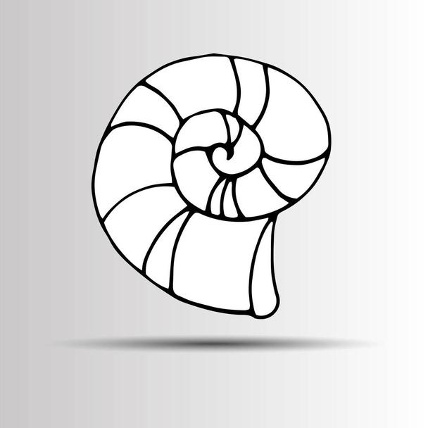 Conjunto de vectores con dibujo de concha marina aislado en blanco. Conchas marinas. Conjunto de varias conchas de mar de colores
 - Vector, imagen