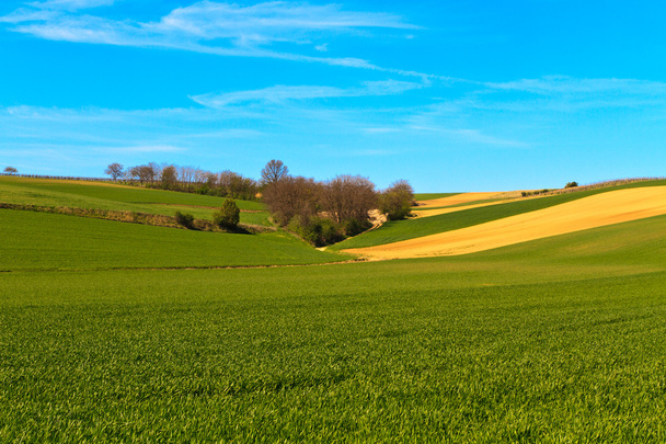 campo verde y cielo azul - Foto, Imagen