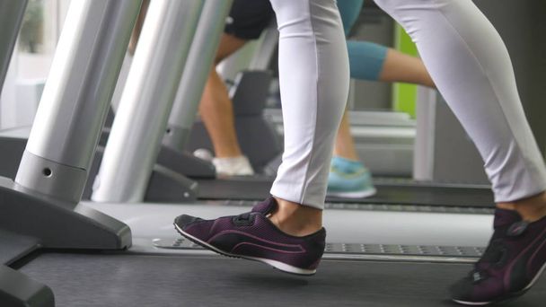 Female legs walking and running on treadmill in gym. Young woman exercising during cardio workout. Feet of girls in sport shoes training indoor at sport club. People jogging. Close up - Foto, Bild