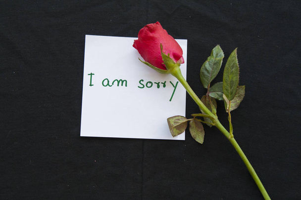 Ik ben droevig tekstkaartje met rode roos  - Foto, afbeelding