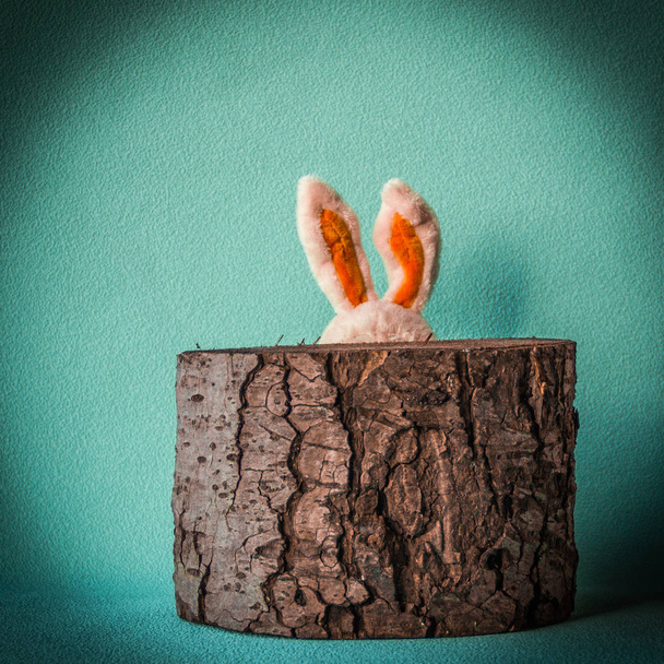 vtipné velikonoční králík - Fotografie, Obrázek