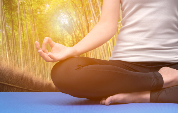 Mladá žena Zůstaň klidná a medituje při procvičování yogain přírodní bambusový Les. - Fotografie, Obrázek