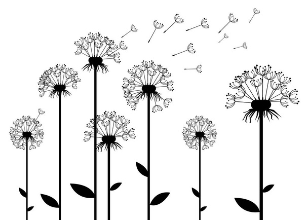 dandelion vector background botany flower blossom - Vector, afbeelding