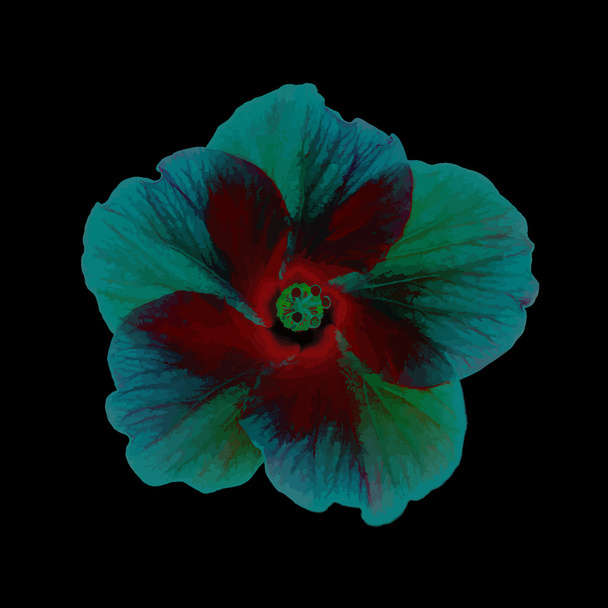 Fantastic Hibiscus pää
 - Vektori, kuva