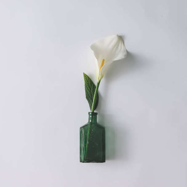 Fleur de calla blanche en bouteille en verre
 - Photo, image
