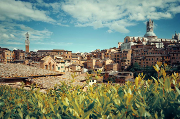 Middeleeuwse stad Siena panorama - Foto, afbeelding