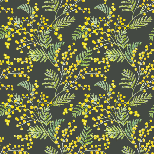 Watercolor mimosa vector pattern - Wektor, obraz