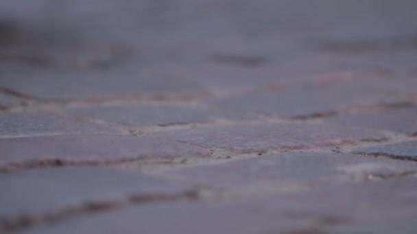 Pflastersteine nähern sich Straße - Filmmaterial, Video
