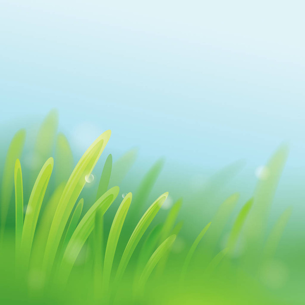 Zöld fű harmattal napkeltekor - Vektor, kép