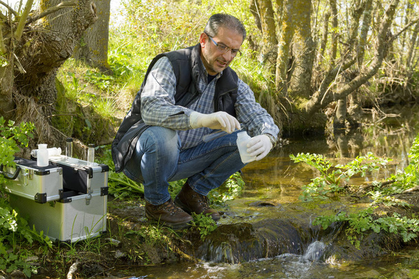 View of a Biologist take a sample in a river. - Фото, изображение