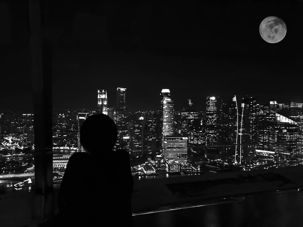 Siyah ve beyaz üzerinde büyük şehirde yalnız gece. Dolunay görüntü  - Fotoğraf, Görsel