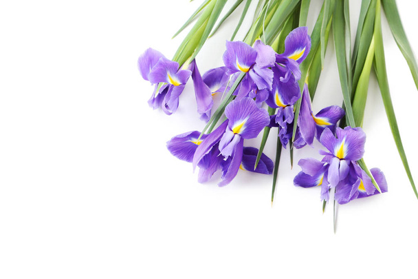 Bouquet of iris flowers - Foto, imagen