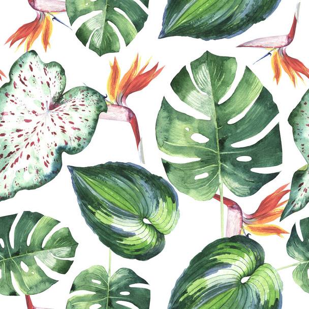 Tropical Hawaii leaves palm tree pattern in a watercolor style isolated. - Valokuva, kuva
