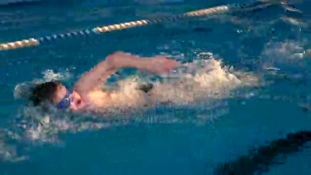 Malchih szakmailag jól a medencében - Felvétel, videó