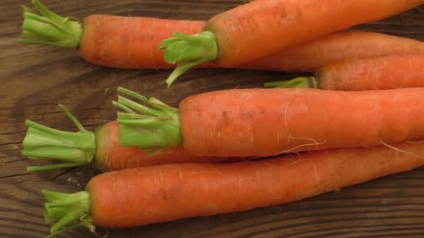Fresh organic carrots with green tops - Footage, Video