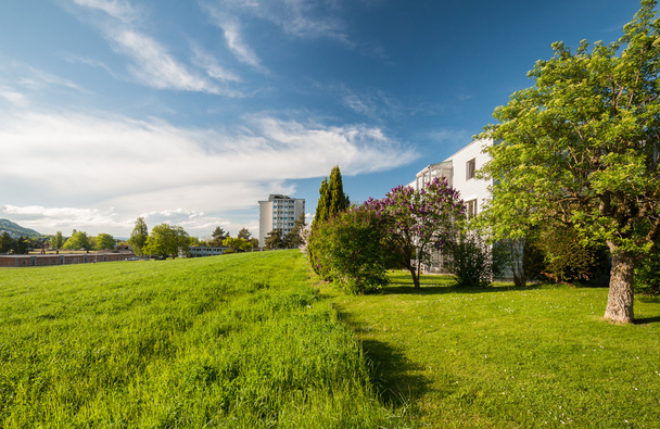 Modern houses in the green - Photo, Image