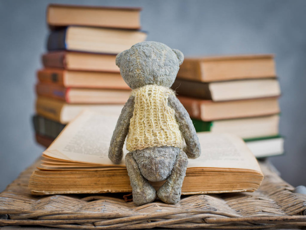 αρκουδάκι teddy ανάγνωση βιβλίων στη βιβλιοθήκη - Φωτογραφία, εικόνα