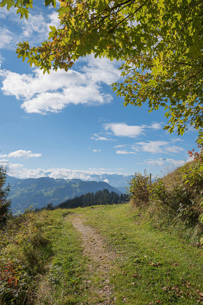 hillside walkway at grisons, swiss landscape - Foto, Bild
