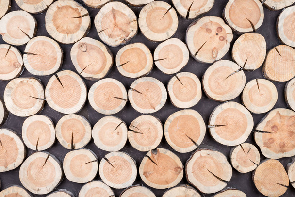 Horizontal background of wood logs of different sizes - Foto, Imagen